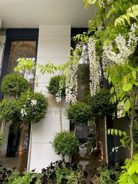 Ab Residences -Cihangir Luxury Antique Apartment Istanbul Ngoại thất bức ảnh